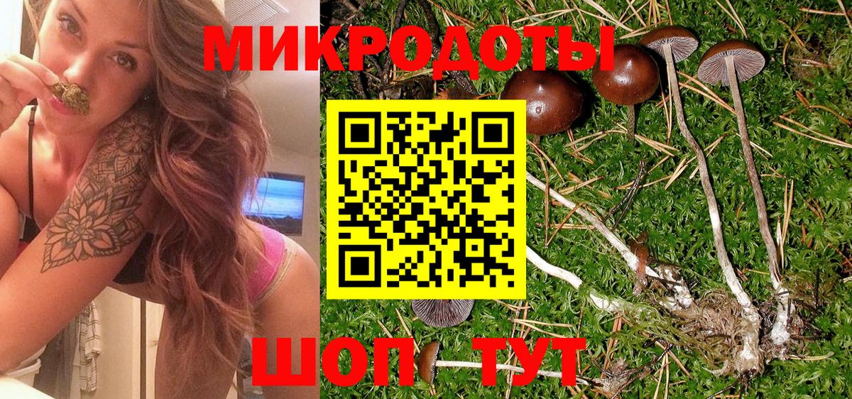 Новозыбков  Псилоцибиновые грибы прущие грибы  что такое наркотик  Вход с VPN  Галлюциногенные грибы GOLDEN TEACHER 