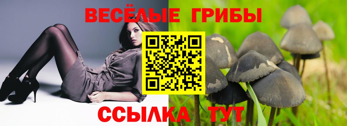 Псилоцибиновые грибы ЛСД Новозыбков